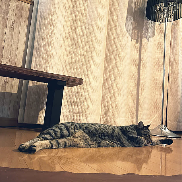 Mさんの実例写真
