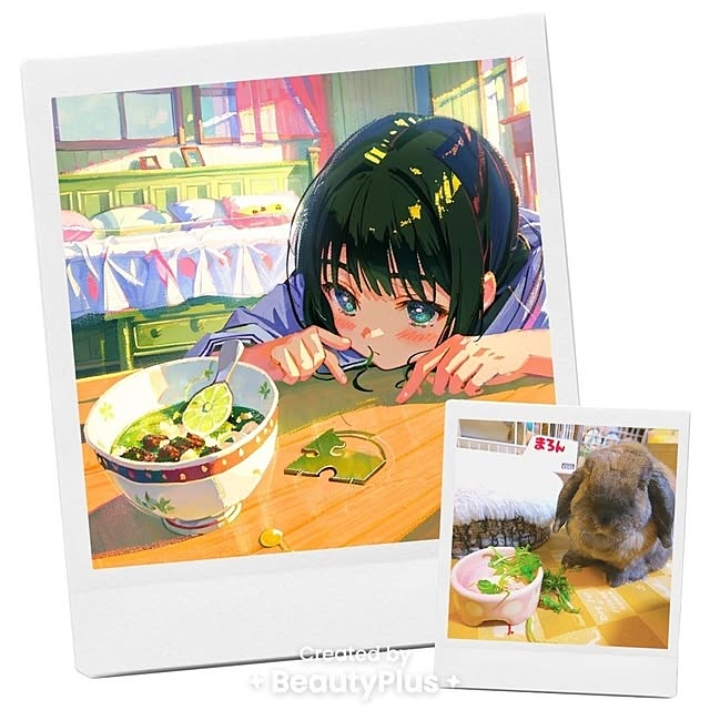 実例写真