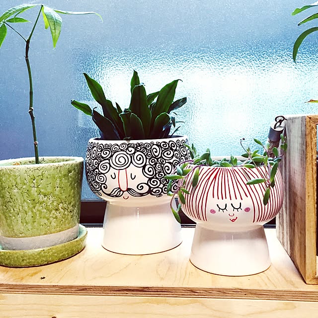 kotahiguさんの実例写真