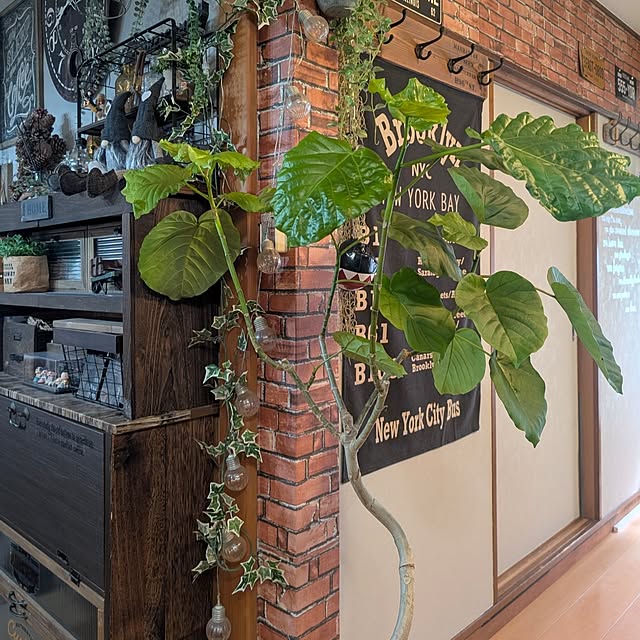 naoporonさんの部屋