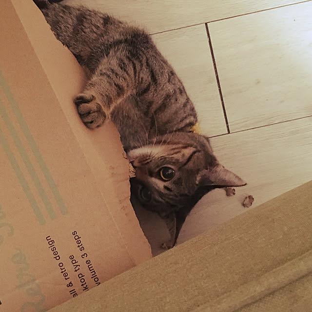 Mさんの実例写真