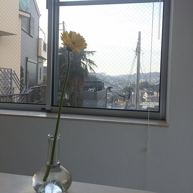 壁/天井のインテリア実例 - 2016-02-27 17:12:50