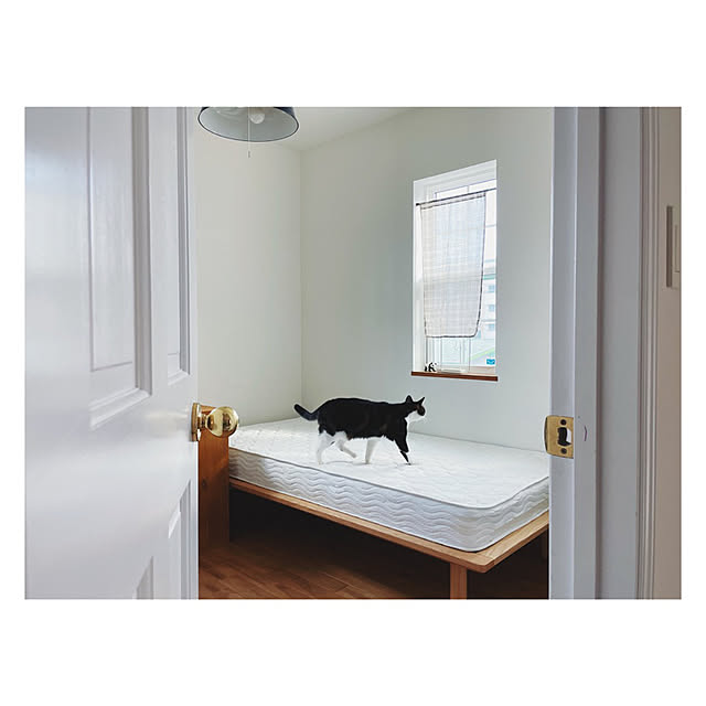 ねこのいる日常/猫と暮らす/子供部屋男の子/マットレス/モニター当選...などのインテリア実例 - 2021-12-03 20:24:44