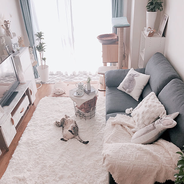 tina_sa_0さんの実例写真