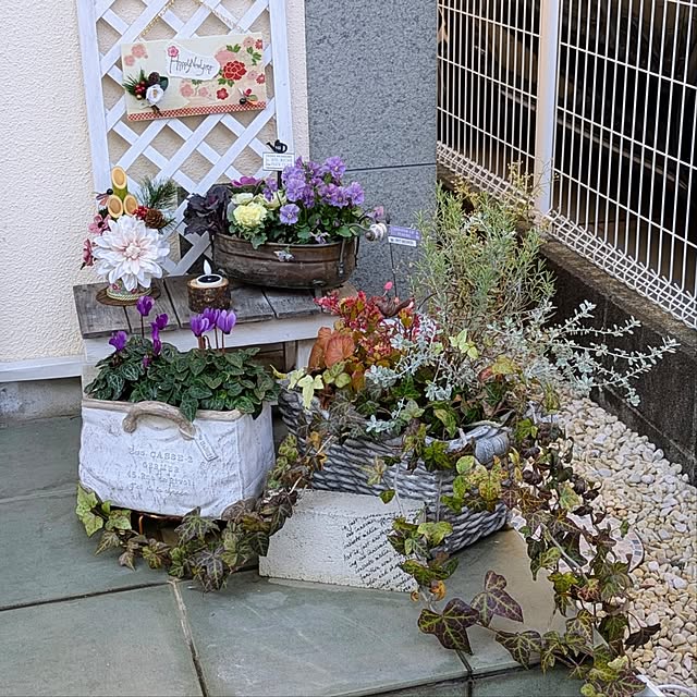 purpureさんの部屋