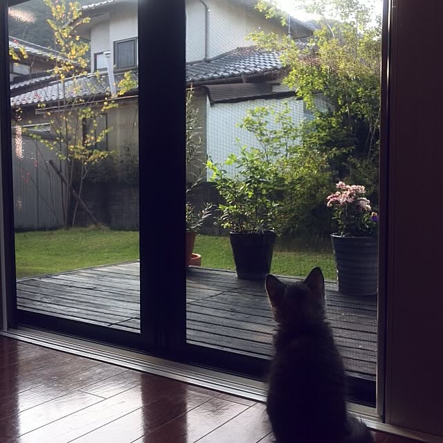 kurumin5さんの実例写真