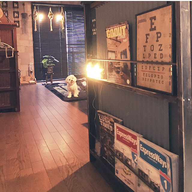 zurinさんの実例写真