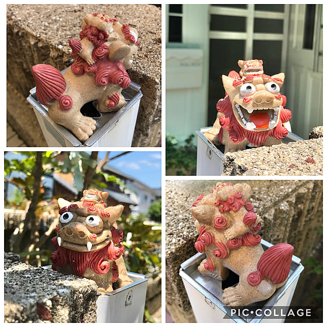 tararaさんの実例写真