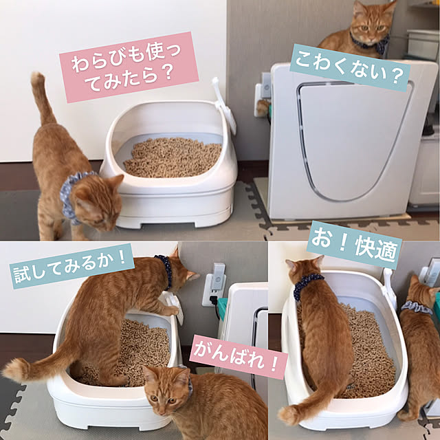 home_m_styleさんの実例写真