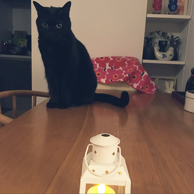 momoさんの実例写真