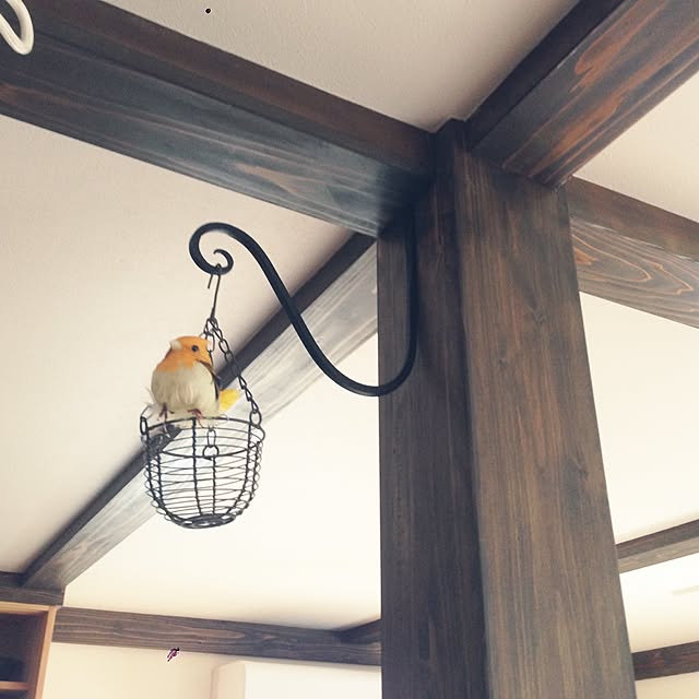 harunaさんの実例写真