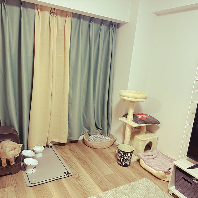 Rikkoさんの部屋
