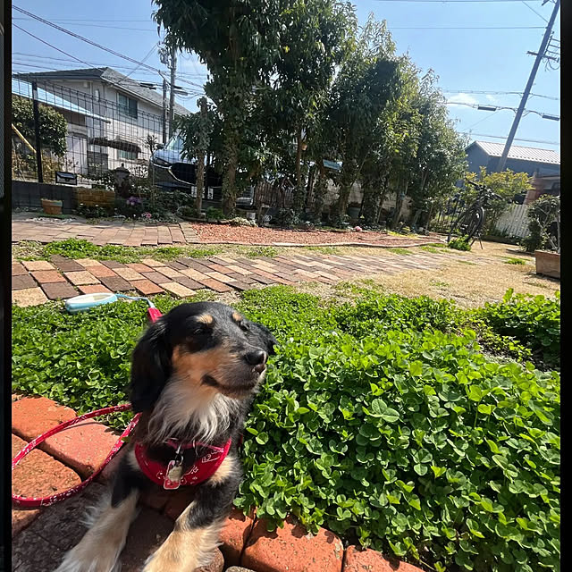 amiさんの実例写真
