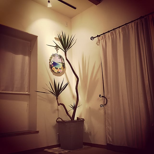 Eriさんの実例写真