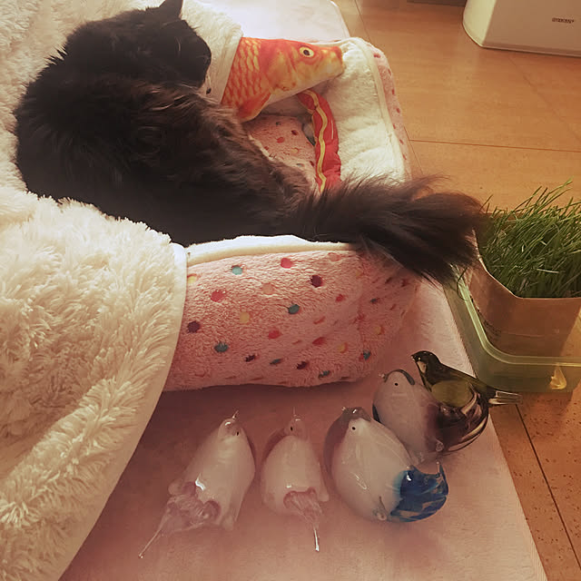 kanaさんの実例写真