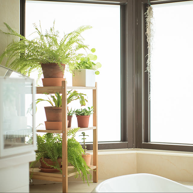 バス/トイレ/グリーンのある暮らし/IKEAのインテリア実例 - 2017-09-09 23:33:18
