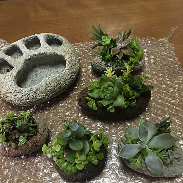 nanaさんの実例写真