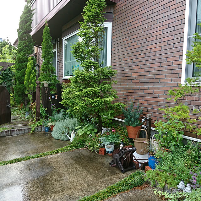 demetanさんの実例写真