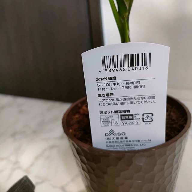 napiさんの部屋