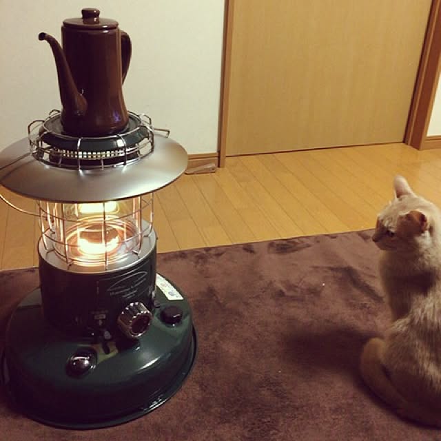 mikan161さんの実例写真