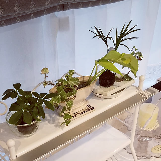 pinkpho050さんの実例写真
