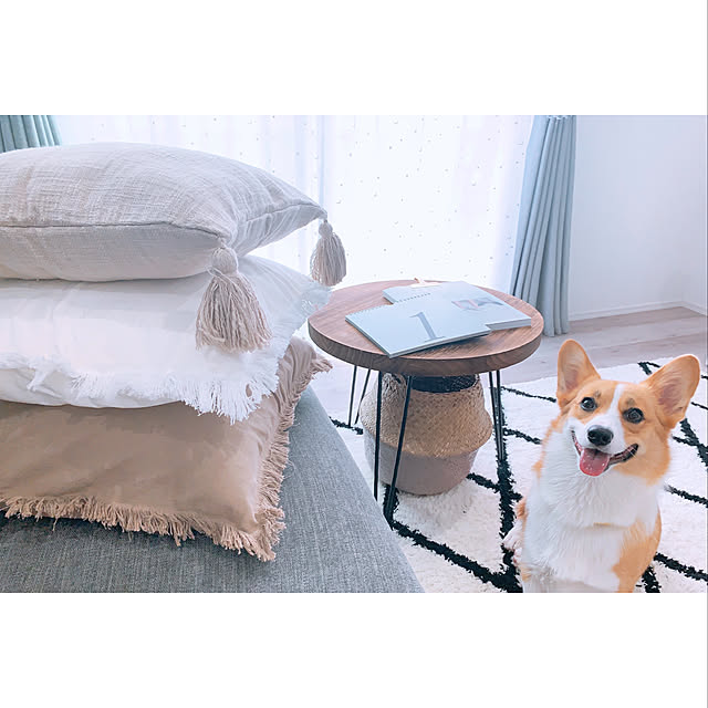 3ayuさんの実例写真