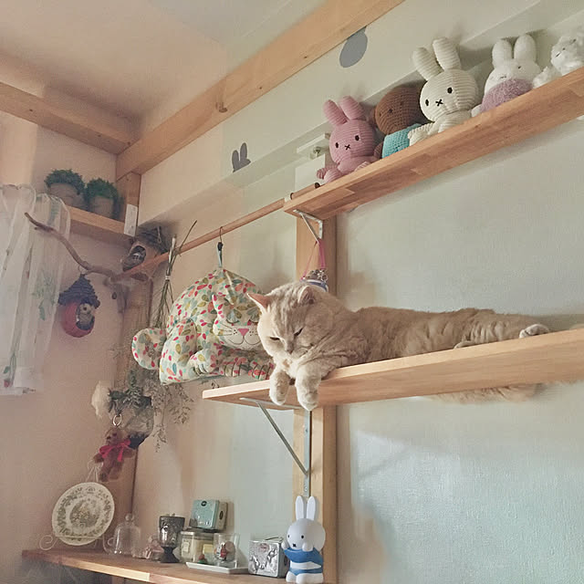 naokoさんの実例写真