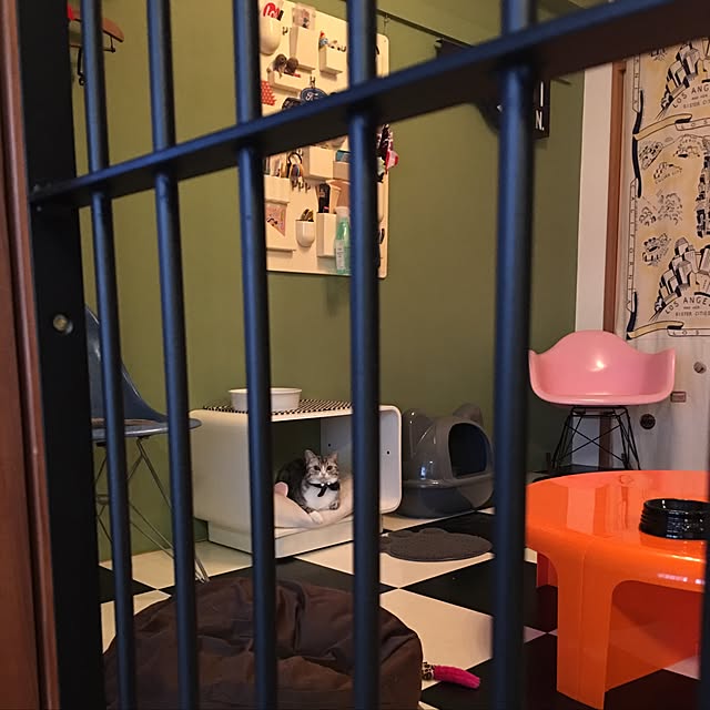 Shojiさんの実例写真