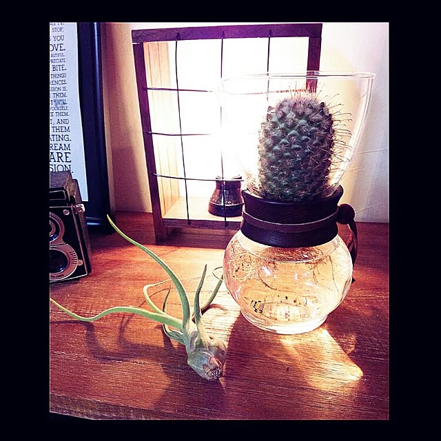 coKoさんの実例写真