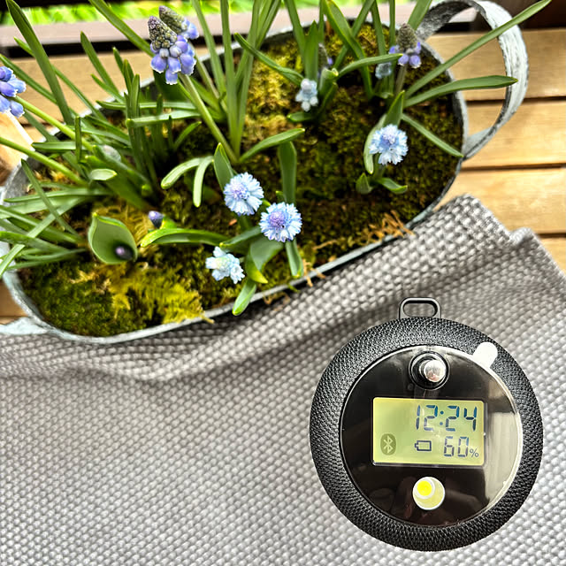 kyoko1124koさんの部屋