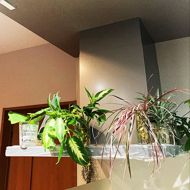1546さんの部屋
