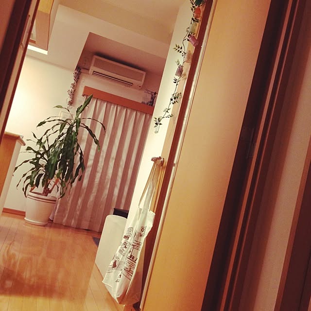 akaringoさんの実例写真
