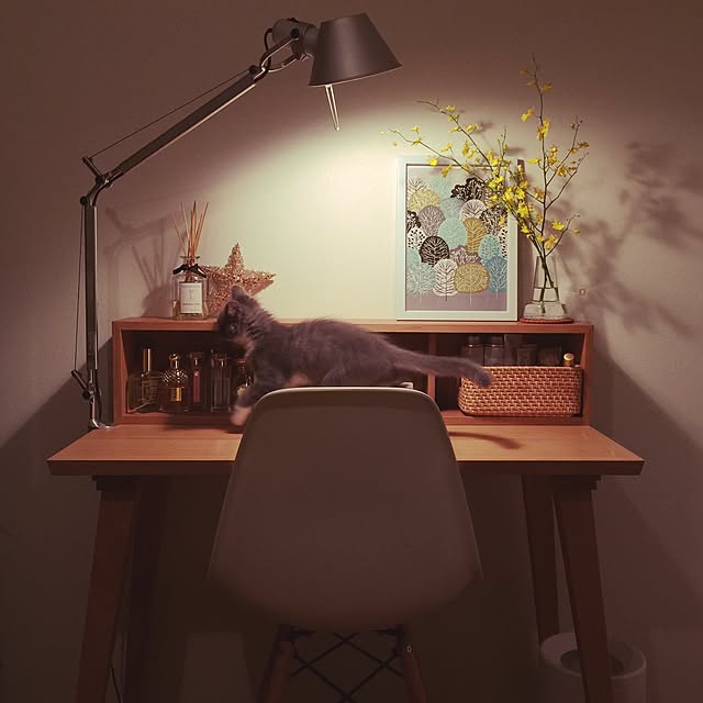 mangomilkさんの実例写真