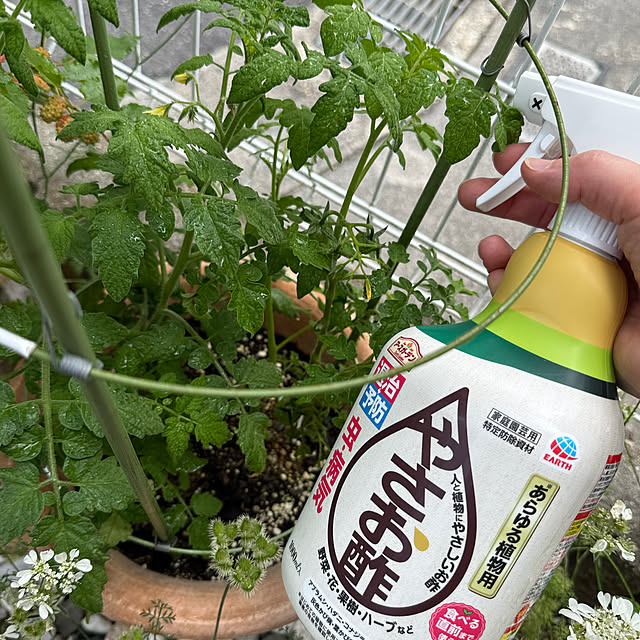 zuccoさんの部屋