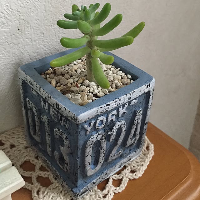 バス/トイレ/多肉植物/100均/セリアのインテリア実例 - 2016-09-25 16:55:57