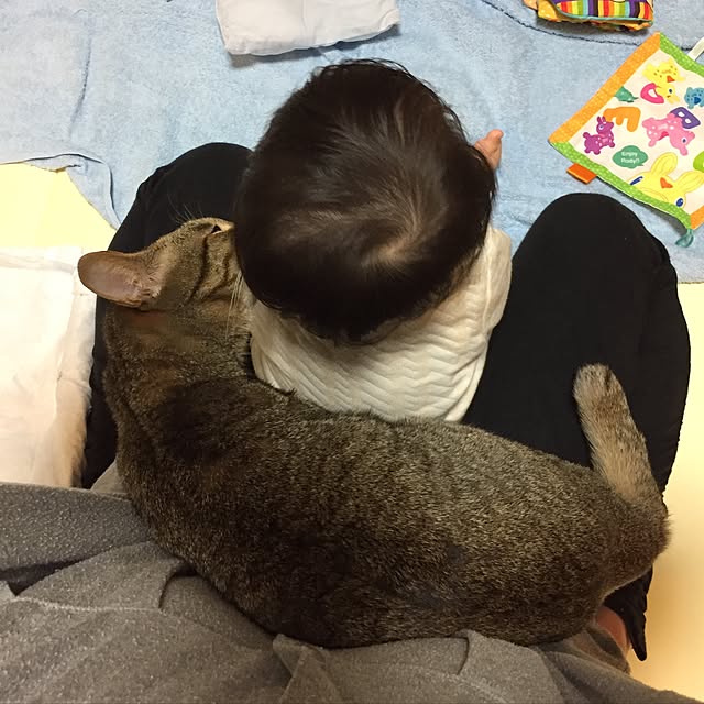 yuki0511さんの実例写真
