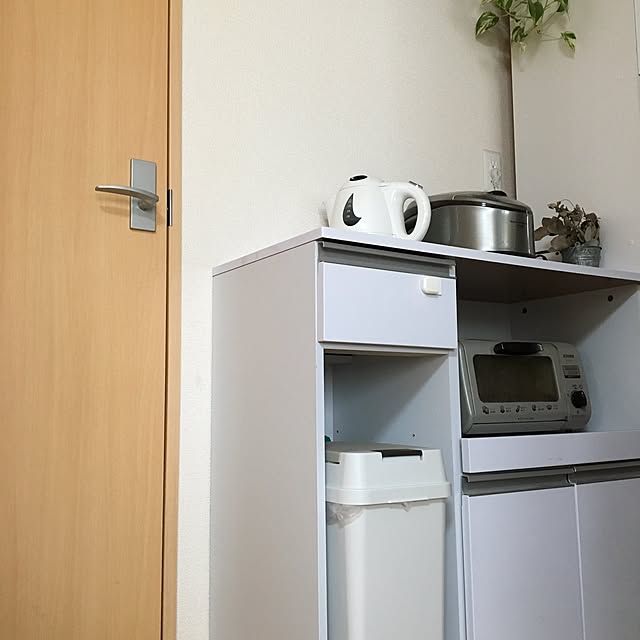 キッチン/ダストボックス/ポトス/100均/ユーカリのインテリア実例 - 2016-08-11 10:25:35