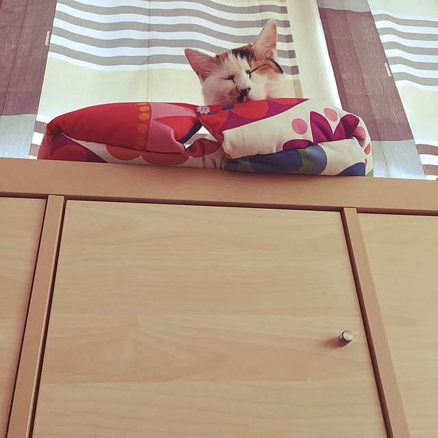 hanachan.chさんの実例写真