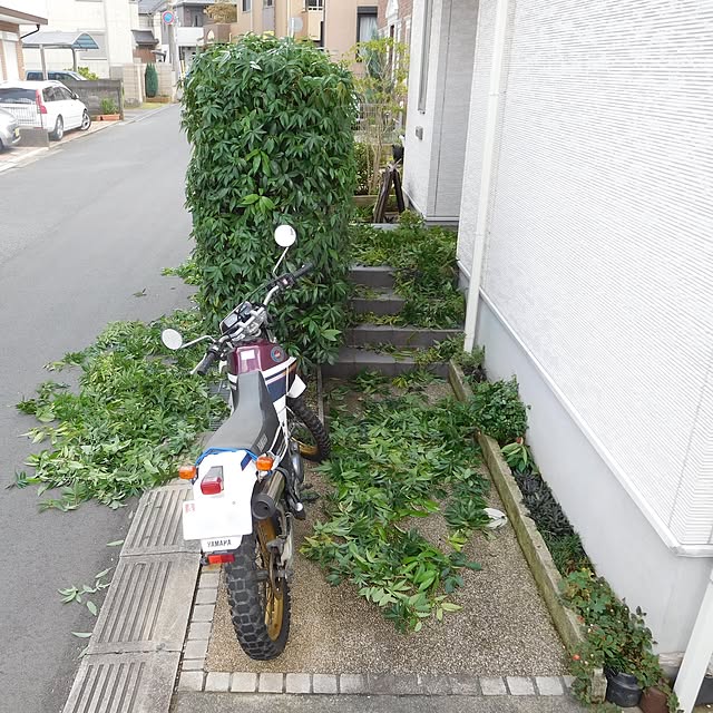 yasu10さんの実例写真