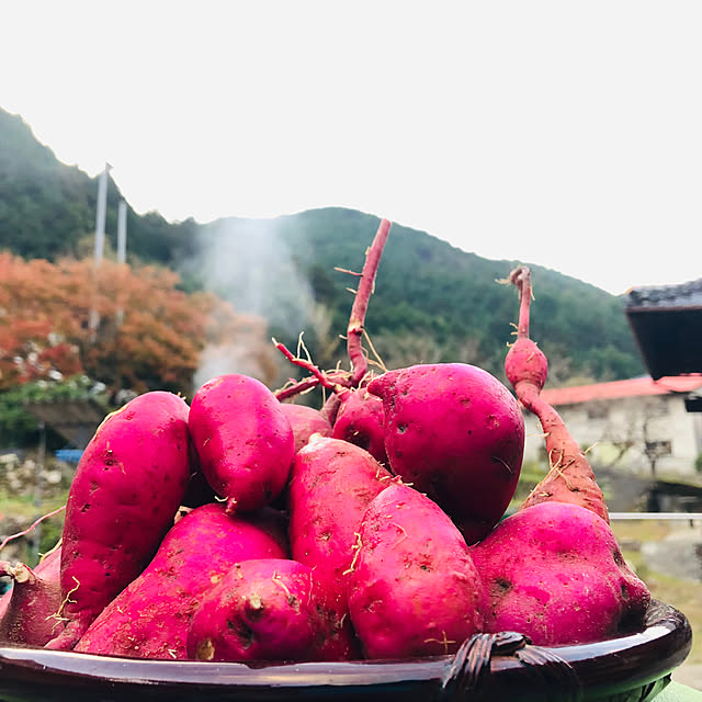 mama-mammothさんの実例写真