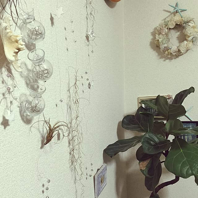 yuko426yuさんの実例写真