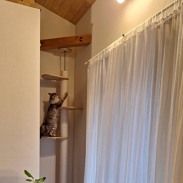 toramonaさんの部屋