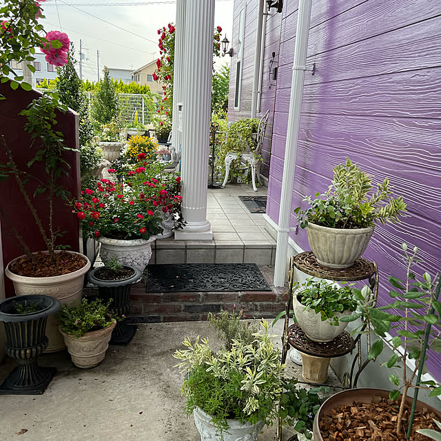 AYUKOさんの実例写真