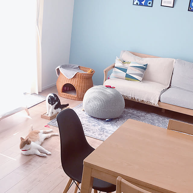 Yさんの実例写真