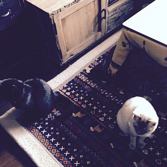 Naoki.さんの実例写真