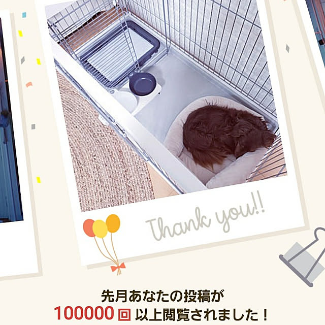 puritan_rさんの実例写真