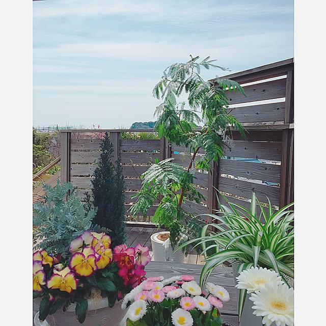 Rさんの実例写真