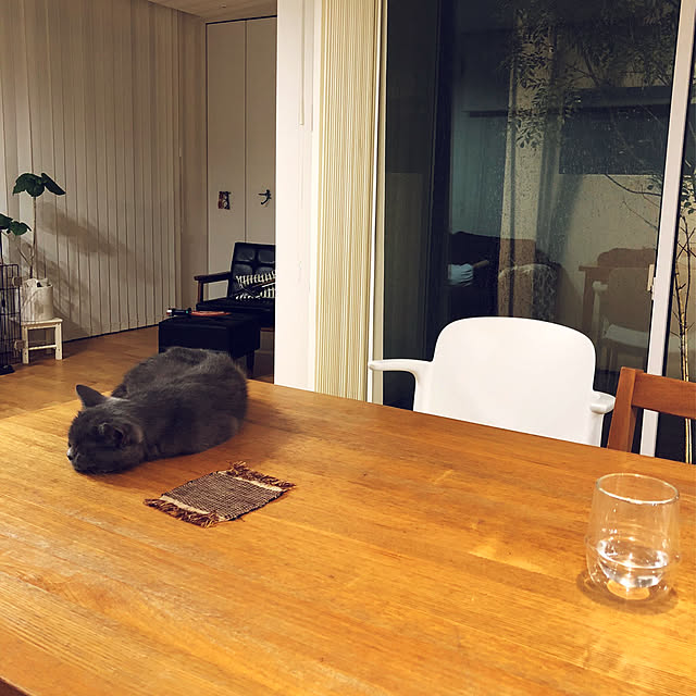 KOHAREさんの実例写真