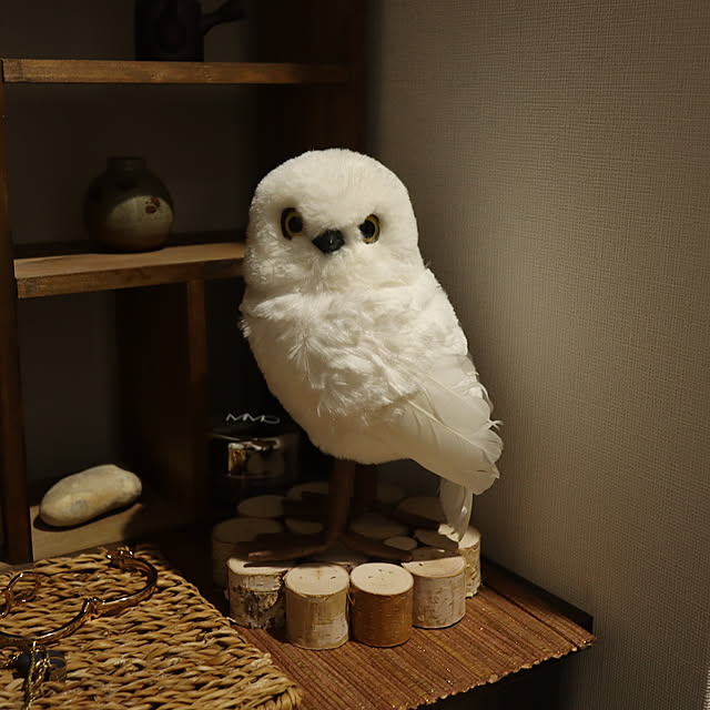Summerさんの部屋
