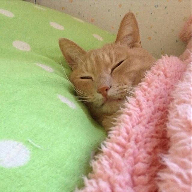 Mugiさんの実例写真